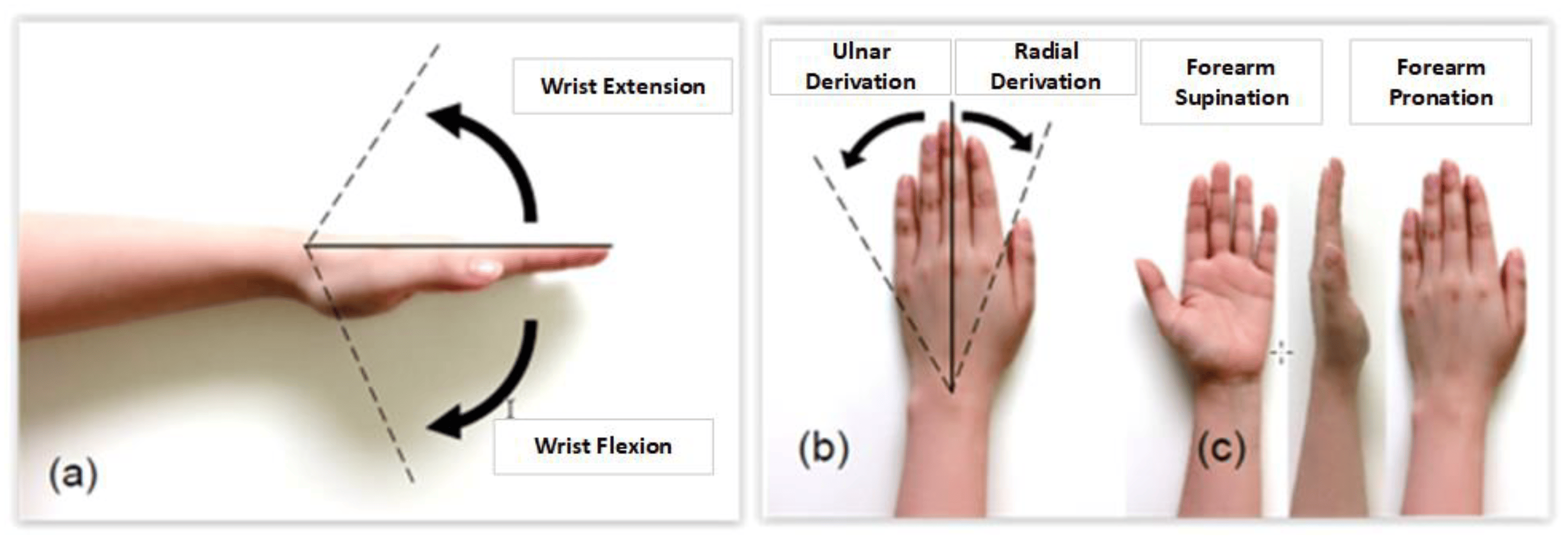 Keyboard Risk Factors