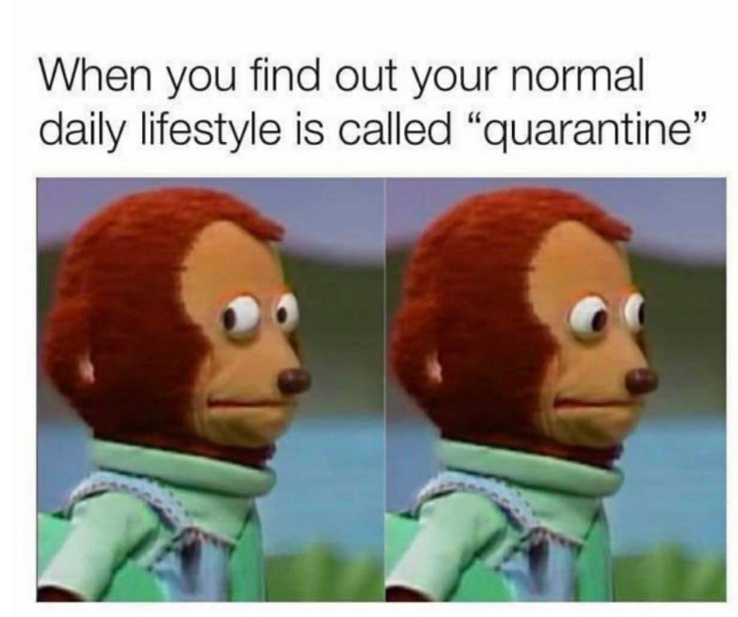 Quarantine meme
